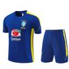 2026-2027 Brazil Color Blue Jersey