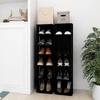 VidaXL Shoe Cabinets 2 Pcs Black 25x27x102 Cm 808488