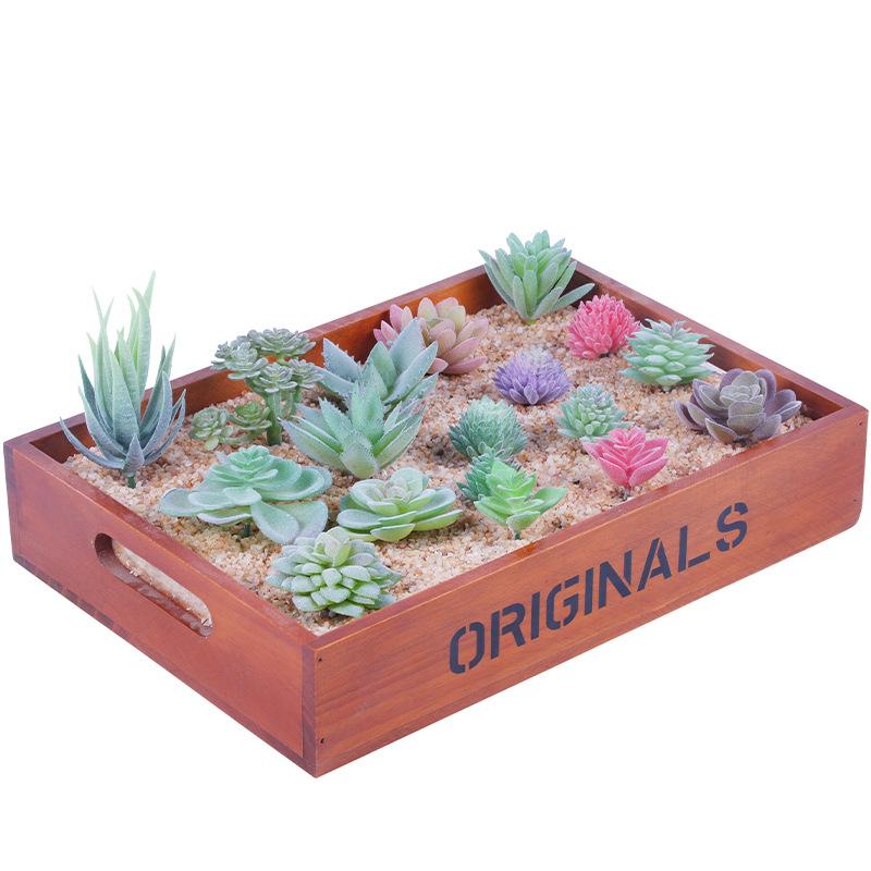 Set0819 Simulation Succulent Plant Set Succulent Plant Mixed With Home Shopping Mall Decoration Shooting Props