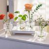 Creative Nordic Water Nourishing Green Plants Transparent Vase Desktop Hydroponic Fresh Flower Vase Home Desktop Decorations