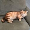 Super Soft Simulated Cat Cushion Cartoon Stuffed Animal Doll Cute Throw Pillows  Home Decor