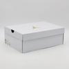 DQ4909-100 Nike Air Jordan 4 Sail Blank Canvas Cement Grey Fire Red (Women's)