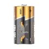 Nanfu D Size 1.5V Alkaline Batteries (20-Pack) CN plug (adapter included)