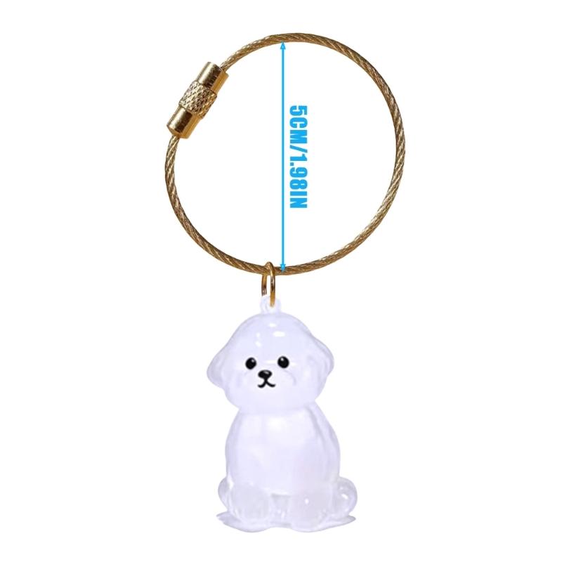 Elegante Chaveiro Memorial para Perda de Animal de Estimação Apresenta Compartimento Visível para Armazenamento de Pelos e Chaveiro Durável para Caixa de Pelos de Animal de Estimação