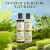 KHADI NATURAL Amla Bhringraj Haarreiniger und Spülung Kombipackung für Kopfhautpflege und Haarstärkung 210 ml X 2er-Packung