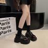 Platform Loafers Women's 2025 Spring New Versatile Retro Thick Heel Small Fashion Single Shoes Small Leather Shoes