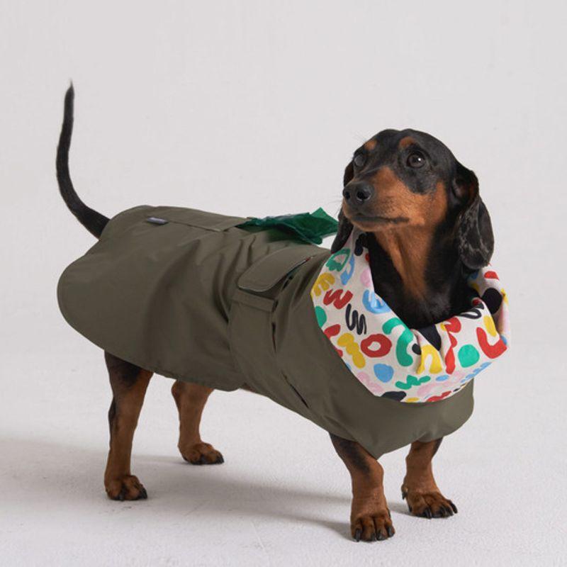 ANGEL DOG Premium Trench Welpen Regenmantel Khaki