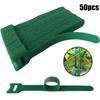 Non Slip Reusable Nylon Plant Ties 50 100 200pcs Adjustable Hook for Tomato Vine Plant Training in Backyard