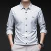 Spring and Autumn Men's Seamless Ice Silk Long-sleeved Shirt, High-end Dad Wear, Non-iron, Anti-wrinkle Casual Striped Shirt