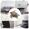 Sea Turtle Figurine Realistic Tortoise Toys Colorful Educational Turtle Toy For Children Boys Girls
