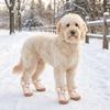 4 PCS/SET Plush Lined Dog Cotton Shoes Thickened Anti-Slip Dog Shoes Winter Dog Snow Boots  Walking