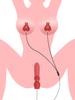 G Spot Vibrator for Women with Nipple Clamps Breast Clips Nipple Clitoral Stimulation Wired Adult Goods Sex Toy for Couple