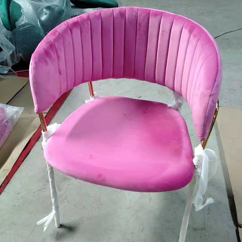 Nordic Light Luxury Modern Dining & Makeup Chair - Balcony, Milk Tea Shop, Nail Art, Simple Backrest Chair