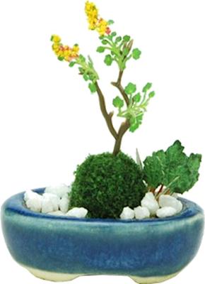 THE BONSAI Oval Planter Finished Product BONN07 1/12 [Navy]