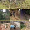 Zizhisheng Hot-dip Galvanized Barbed Wire