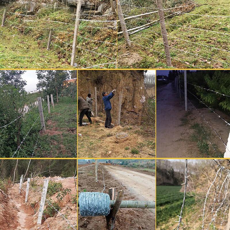 Zizhisheng Hot-dip Galvanized Barbed Wire