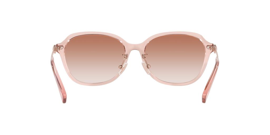 Coach HC8332D Transparent Pink Size 56 Women's Sunglasses,
