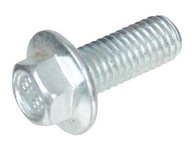 Schraube Cedrus Schneefräse Cedsb71-E M8X20 Wbzhf008020001