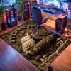 Gentle Wellbeing Carpet Rug for Living Room Bedroom Home Sofa Decoration,Kids play Nonslip Floor Mat