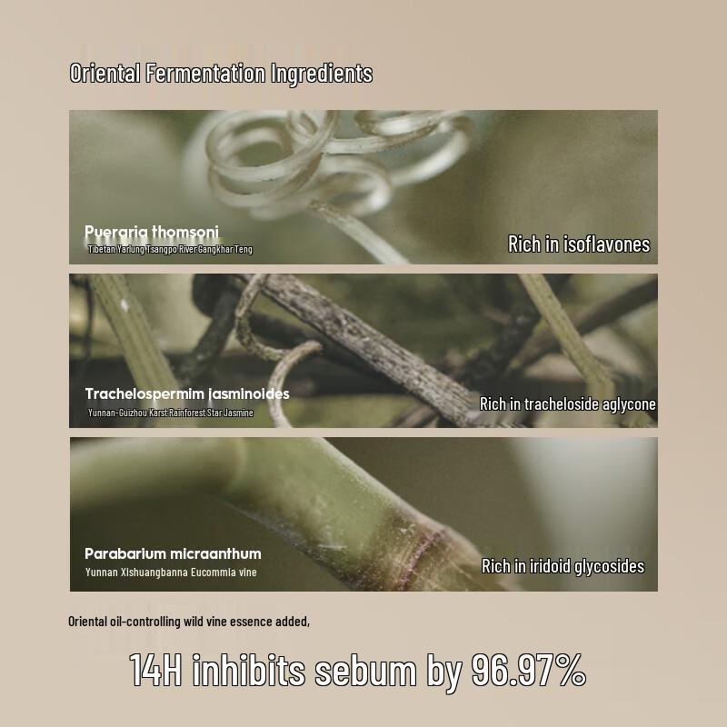 

MARIE DALGAR Wild Vine Soft Focus Long-wear Pressed Powder