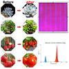 1500W Growing Lamps LED Grow Light 1365 LEDS Full Spectrum for Greenhouse Indoor Hydroponic Plant Seedling Flower Yield
