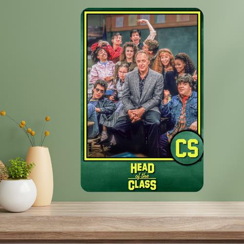Head of the Class Classic TV Show Metal Poster Sign 20x30cm(7.8x11.8inch)