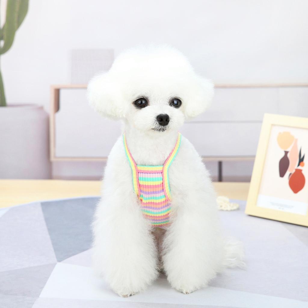 Dog Clothes Summer Thin Small Dog Teddy Princess Dress Suspender Bichon Frize Cat Color Strip Embroidered Cherry