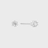 [silver925] Tiny Cubic Earring