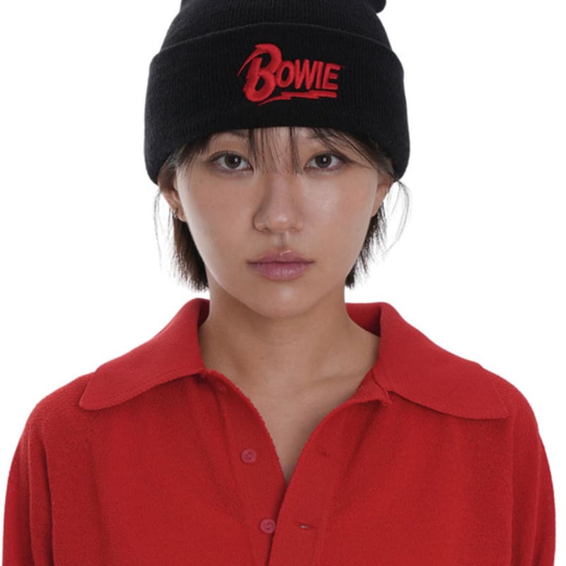 

AMERICAN NEEDLE ВЯЗАНАЯ ШАПКА С ОТВОРОТОМ BOWIE FREE