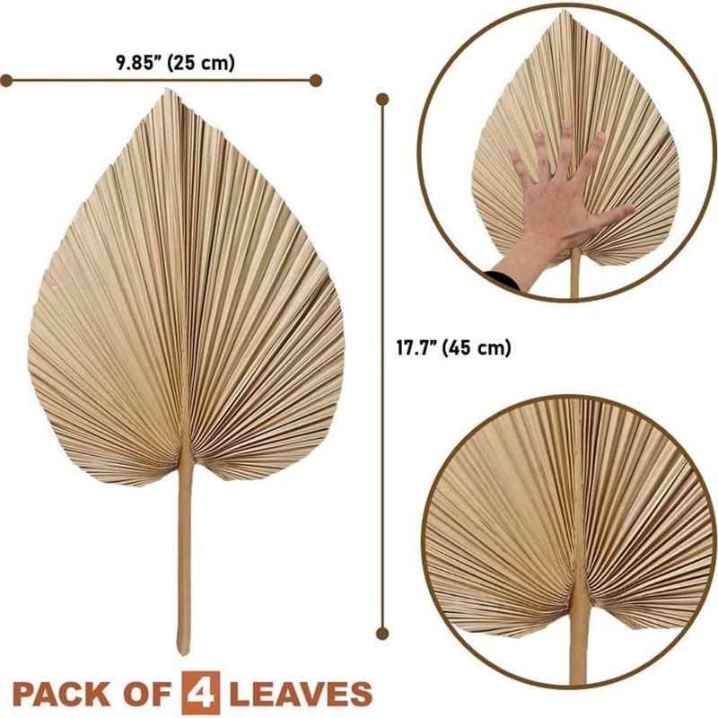 Fresh 4 Pieces Natural Dried Palm Leaves Home Furnishing Palm Leaves Perfect For Palm Leaf Decor, Boho Decor, Home Decor, Weddin