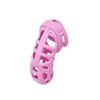 2026 New Model Pink Chastity Cage — 5 Sizes Available — Male Chastity & Erotic Play Device — Ideal for Gifting