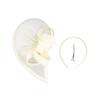 Elegant Kentucky Derby Mesh Hat In Natural Party Hairpieces Fashion Headwear Accessory for Picnics and Beach Outings