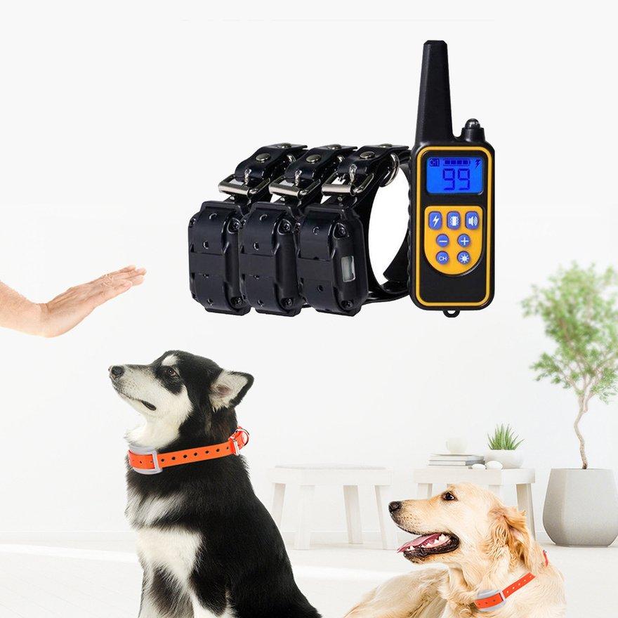 pet trainer dog collar