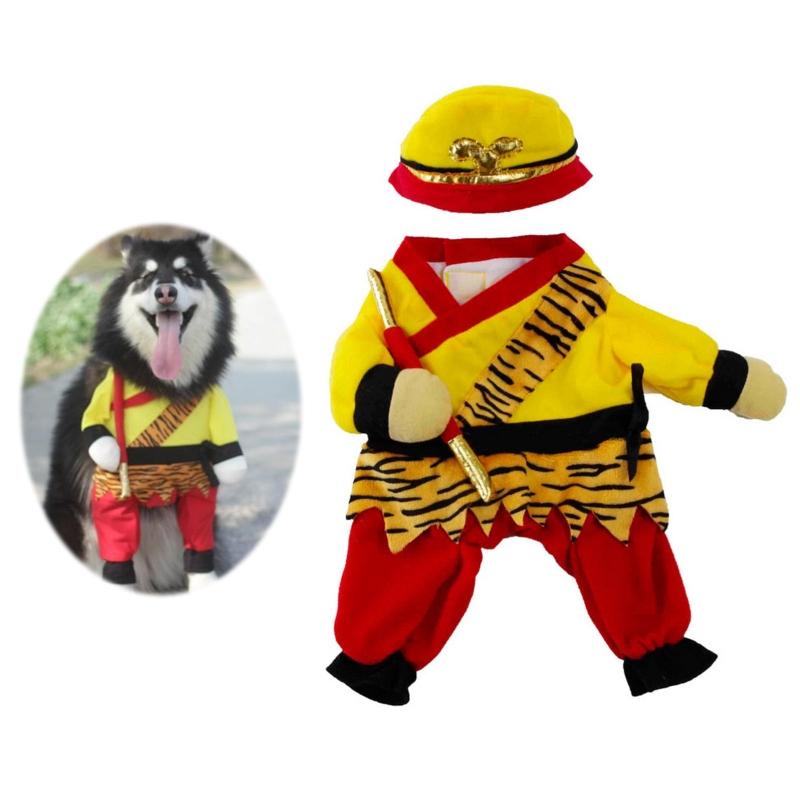 monkey dog costume