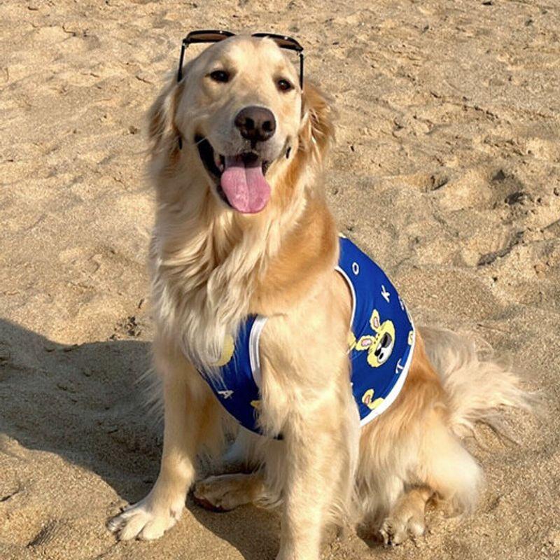 BARKDOG Bark Functional Cool Crop Strappy