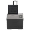 Vidaxl Lodówka Na Kółkach, Z Zasilaczem, Czarno-Szara, 30 L, Pp
