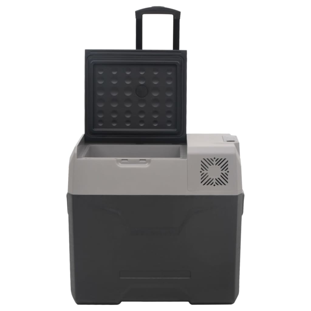 Vidaxl Lodówka Na Kółkach, Z Zasilaczem, Czarno-Szara, 30 L, Pp