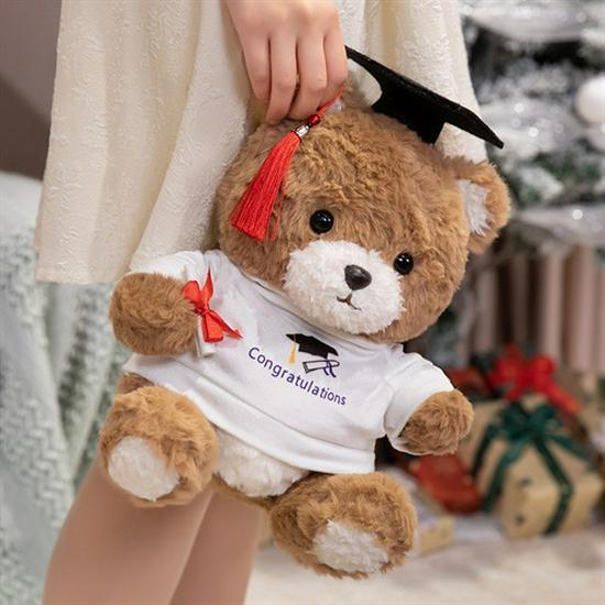 Graduation Teddy Bear Plush Toy - Doctor Doll Commemorative Gift