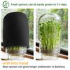 Clear Wide Mouth Glass Sprouter Container Set With Lid For Fast Seedling Germination Vegetable Cultivation Accessories