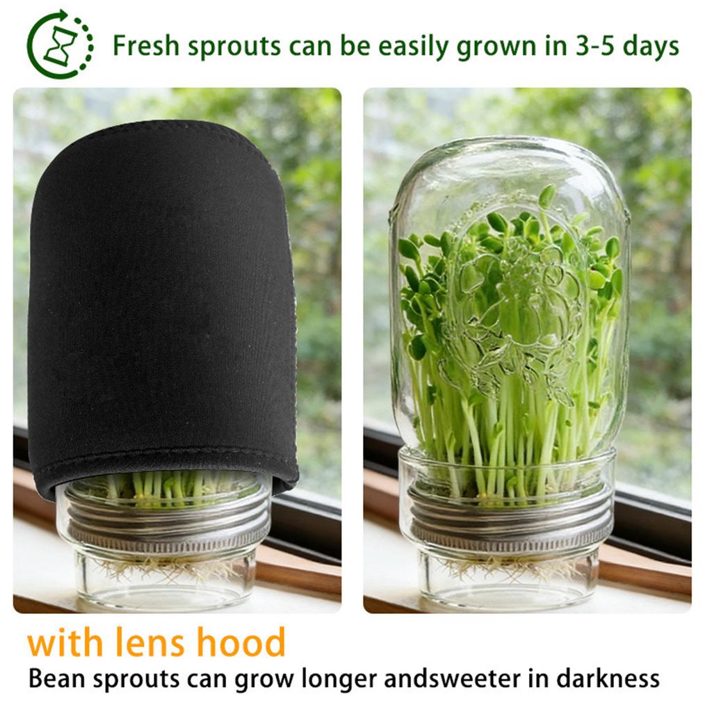 Clear Wide Mouth Glass Sprouter Container Set With Lid For Fast Seedling Germination Vegetable Cultivation Accessories