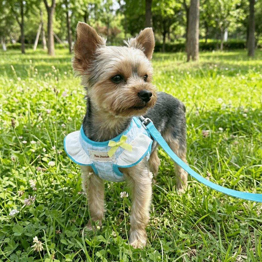 Adjustable Pet Harness Leash Comfortable Fit Dog Collar Harness Set Dog Chest Strap Daily Use