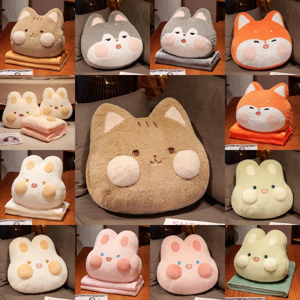 Cartoon Plush Cushion Pillow With Removable Cover For Office Nap Gift For Teens