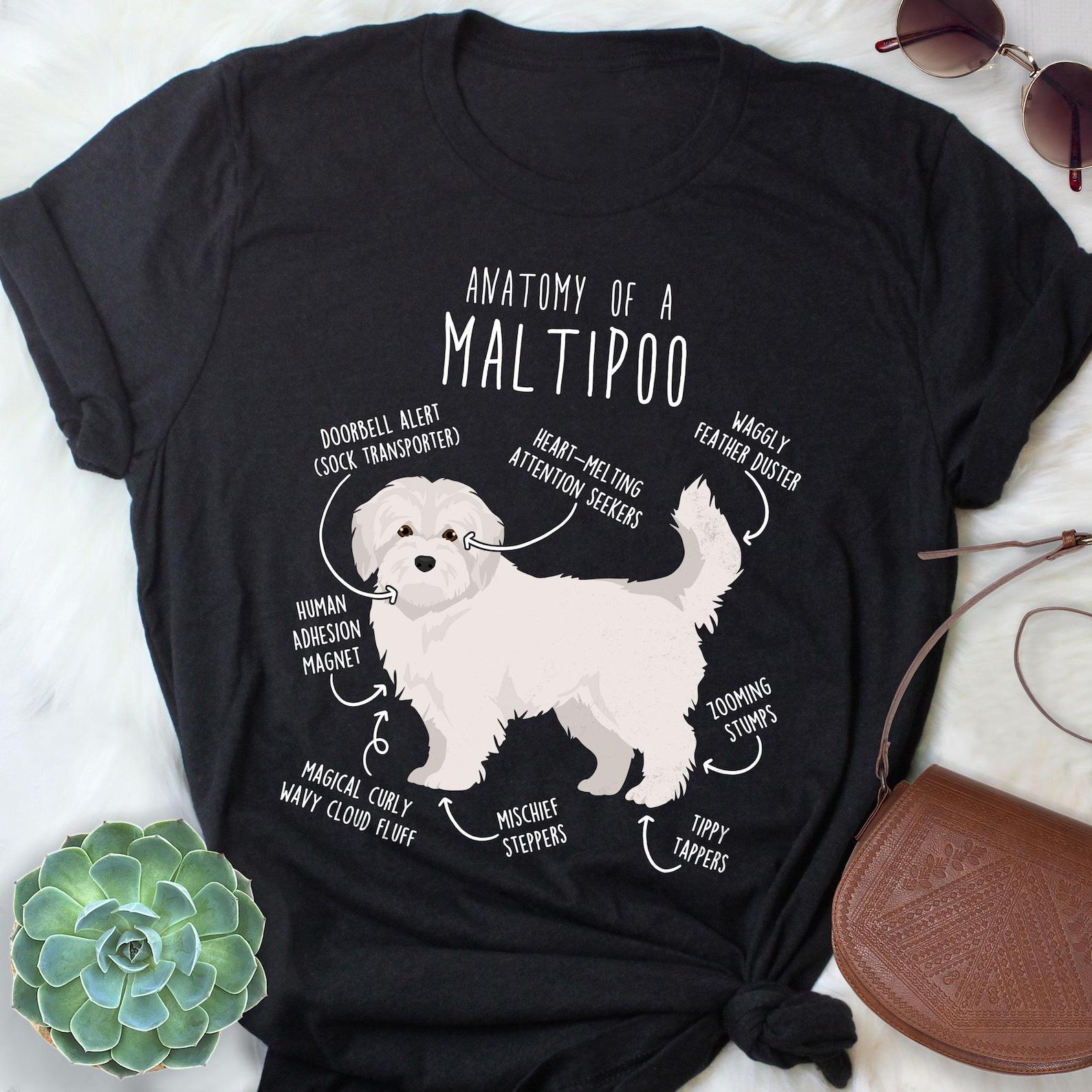 Maltipoo Shirt, , , Funny Maltipoo Dog Lover Gift, Cute White Maltipoo T-shirt, Doodle Poodle Mix Tshirt Pet Tee Mom Dad 100