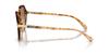 Coach Sunglasses HC8377U CL925 CARAMEL SNOW TORTOISE GRADIENT 55 Women's