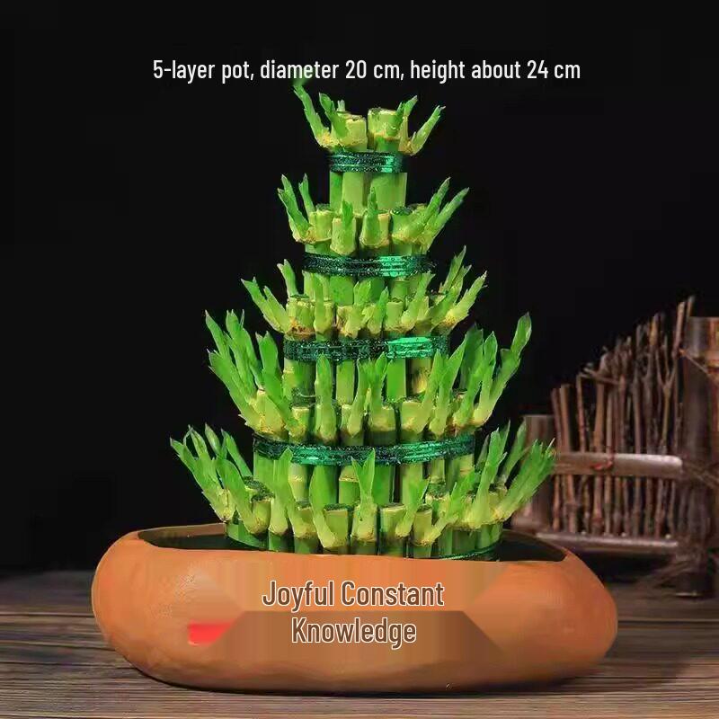 Prosperity Bamboo Tower: Hydroponic Indoor Plant for Wealth and Fortune