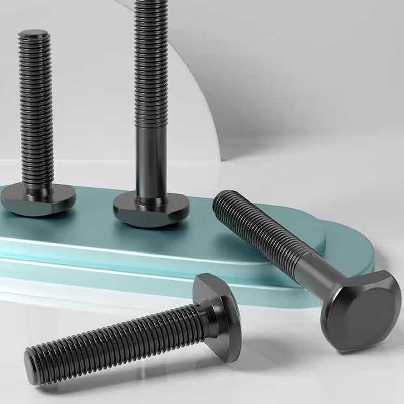 Xiesheng Grade 8.8 T-Slot Bolt