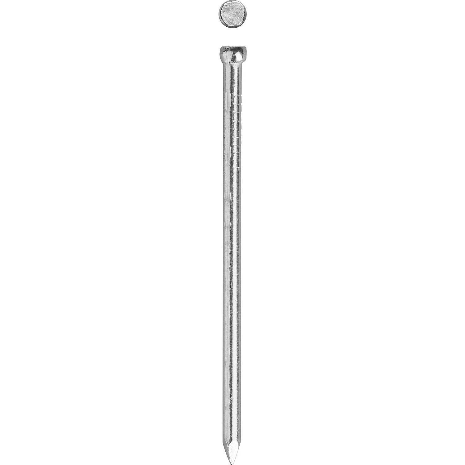 

Finishing Nails Bison Master 305310-18-030 30 X 1 8 Mm 5 Kg