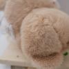 Kawaii Creative Hat Rabbit Plush Toy Keychain Cute Cartoon Rabbit Keychain Pendant  Backpack Decoration Birthday Gifts