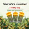 Fruit Fly Trapper with Natural Attractant No  Hanging Fly Catcher for Kitchen Farm Orchard Garden Pest Control