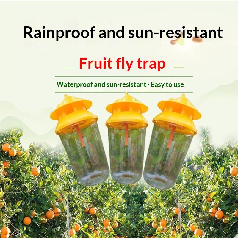 Fruit Fly Trapper with Natural Attractant No  Hanging Fly Catcher for Kitchen Farm Orchard Garden Pest Control